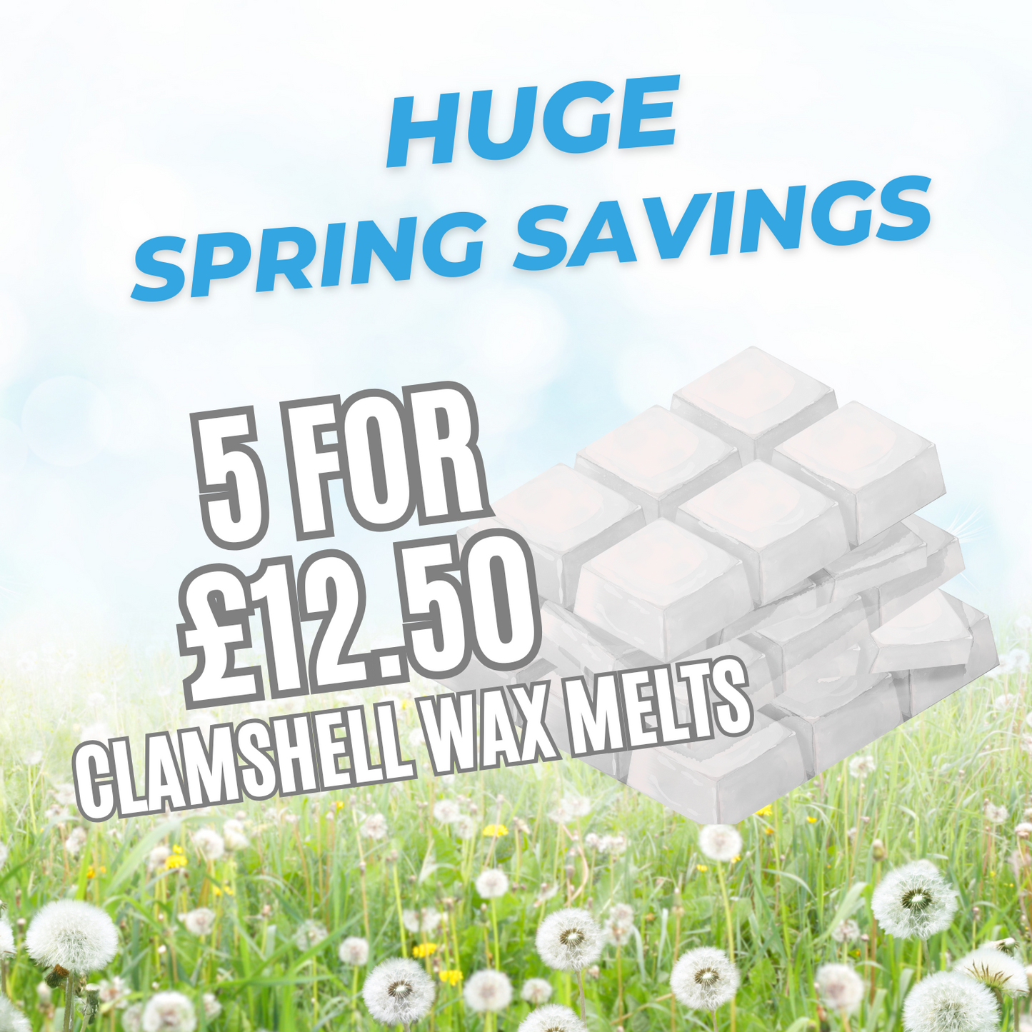 Clamshell Wax Melts